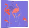 Flamingoes by Anna Platts