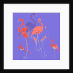 Flamingoes by Anna Platts