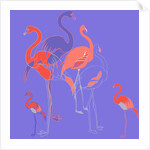 Flamingoes by Anna Platts