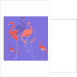 Flamingoes by Anna Platts