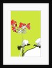 Geranium by Anna Platts