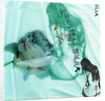 Her Anxiety by Anna Platts