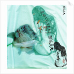 Her Anxiety by Anna Platts