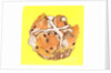 Hot Cross Bun by Anna Platts