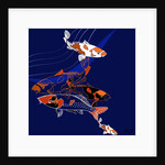 Koi by Anna Platts