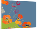 Nasturtium by Anna Platts
