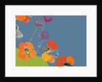 Nasturtium by Anna Platts