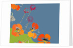 Nasturtium by Anna Platts