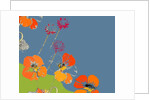 Nasturtium by Anna Platts