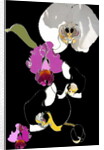 Orchid by Anna Platts