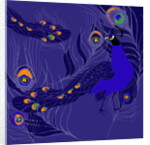 Peacock by Anna Platts