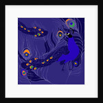 Peacock by Anna Platts