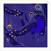 Peacock by Anna Platts