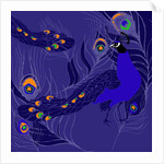 Peacock by Anna Platts