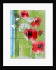 Poppy by Anna Platts