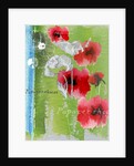 Poppy by Anna Platts