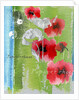 Poppy by Anna Platts