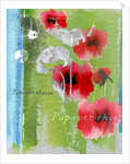 Poppy by Anna Platts