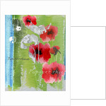 Poppy by Anna Platts