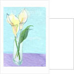 Sympathy by Anna Platts