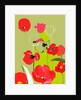 Tulip by Anna Platts