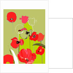 Tulip by Anna Platts