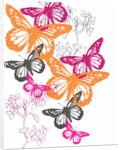 Butterfly by Anna Platts