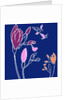 Freesia by Anna Platts