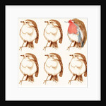 Robin by Anna Platts