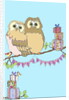 Birthday Owls, 2013 by Anna Platts