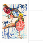 Golden Pheasant, 2013 by Anna Platts