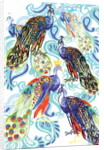 Paisley Peacock, 2013 by Anna Platts