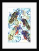 Paisley Peacock, 2013 by Anna Platts