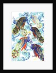 Paisley Peacock, 2013 by Anna Platts