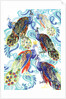 Paisley Peacock, 2013 by Anna Platts