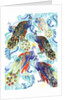 Paisley Peacock, 2013 by Anna Platts