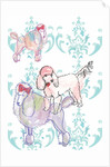 Poodles, 2013 by Anna Platts