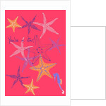 You're a star, 2013 by Anna Platts