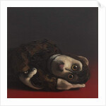 Toby Monkey, 2017 by Peter Jones