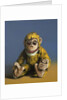 Mustard Monkey, 2017 by Peter Jones