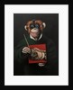 Monkey Painter, 2005 by Peter Jones