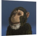 Andy Monkey, 2017 by Peter Jones