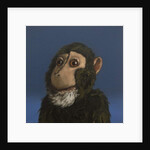 Andy Monkey, 2017 by Peter Jones