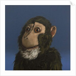 Andy Monkey, 2017 by Peter Jones