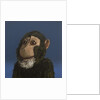 Andy Monkey, 2017 by Peter Jones