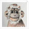 Happy Monkey, 2005 by Peter Jones