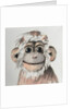 Happy Monkey, 2005 by Peter Jones