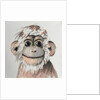 Happy Monkey, 2005 by Peter Jones