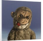 Aaron Monkey, 2016 by Peter Jones