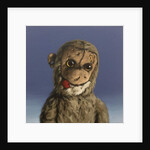 Aaron Monkey, 2016 by Peter Jones